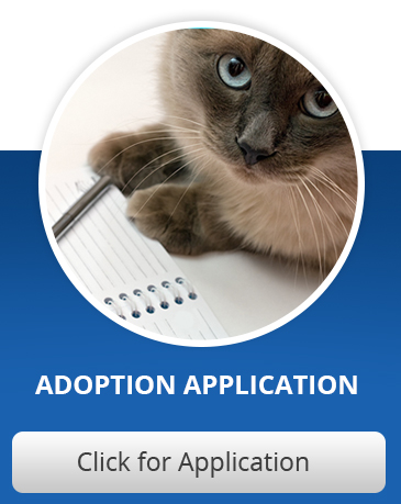 Adoption Application